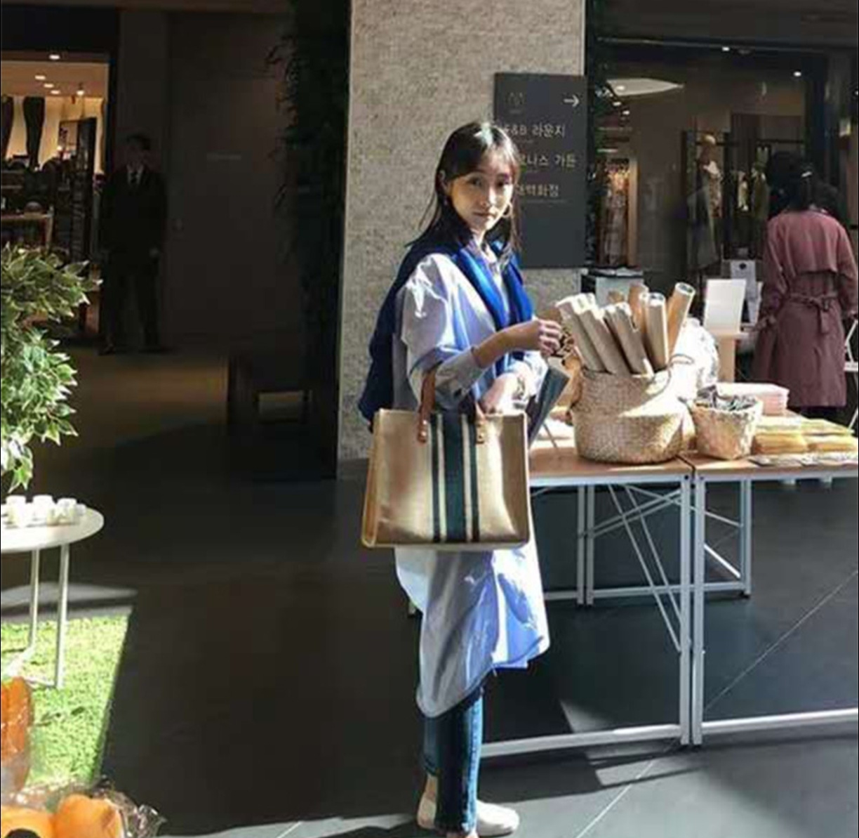 Новая полосатая холщовая сумка – обзор и цена Women Hand Bags For Office